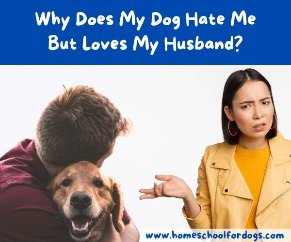 why does my dog hate me but loves my husband