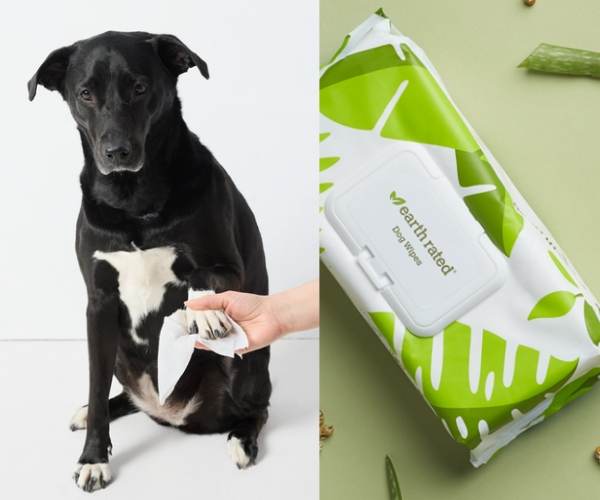 Clean dog's paws with dog wipes