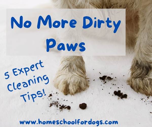 Tips to clean a dog's paws