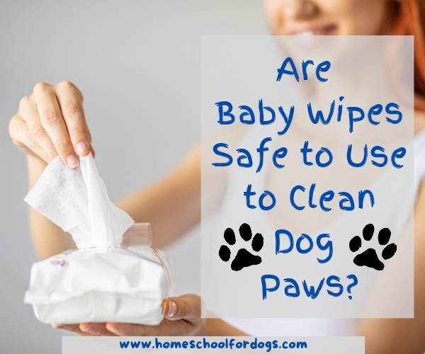 are baby wipes safe to use to clean dog paws