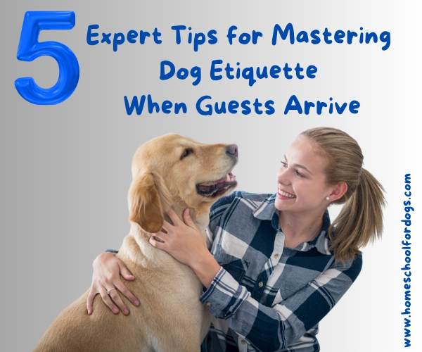 tips for getting your dog to listen when you have visitors over