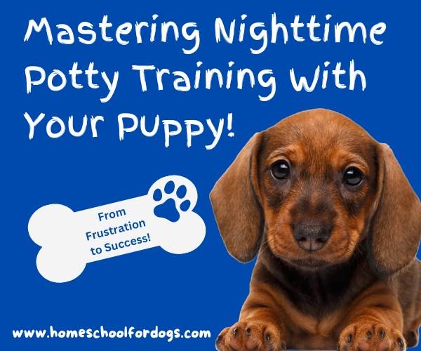 puppy potty training at night- mastering nighttime potty training