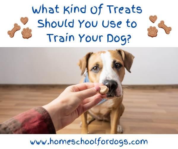 How to Choose Dog Training Treats