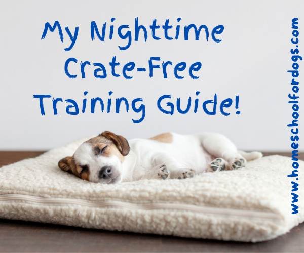 nighttime crate-free training guide- puppy sleeping on dog bed