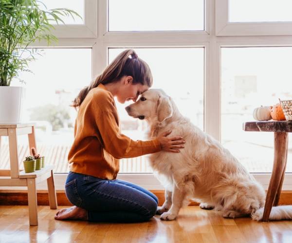 Dog and Woman With Strong Bond