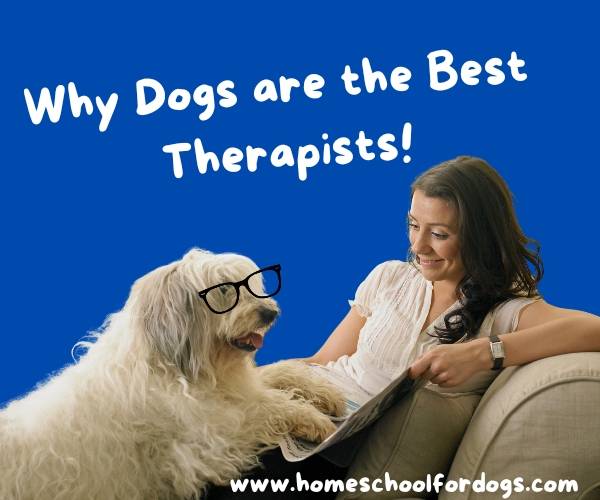 Why dogs are the best therapists